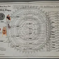 processed/7910f1f4-0bfd-471e-ad42-b212a3c1bfec/facility/0594586c-70cd-4f20-9ad4-b92762462bf6