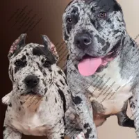 processed/7910f1f4-0bfd-471e-ad42-b212a3c1bfec/facility/69d9070b-fce3-4c7b-beee-c62bd9267077