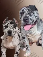 processed/7910f1f4-0bfd-471e-ad42-b212a3c1bfec/facility/69d9070b-fce3-4c7b-beee-c62bd9267077