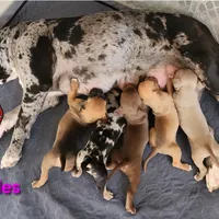 processed/7910f1f4-0bfd-471e-ad42-b212a3c1bfec/facility/730db8a6-56a3-4ed3-a360-67a6837ca23d