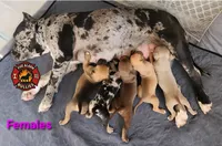 processed/7910f1f4-0bfd-471e-ad42-b212a3c1bfec/facility/730db8a6-56a3-4ed3-a360-67a6837ca23d