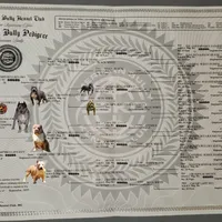 processed/7910f1f4-0bfd-471e-ad42-b212a3c1bfec/facility/9e7ce429-b6b0-4f91-a336-279021fb28d1