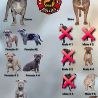 processed/7910f1f4-0bfd-471e-ad42-b212a3c1bfec/facility/f3c96c43-7f7c-4e6c-aa9a-cec604978ca7