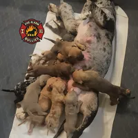 processed/7910f1f4-0bfd-471e-ad42-b212a3c1bfec/facility/f5a76f1d-2f93-4338-94b7-bc4fe12ed96e