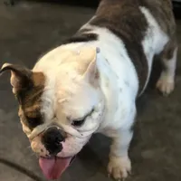 processed/79138303-c1d2-4793-9c0f-e8454888e079/facility/32dc44ba-9295-4379-95ef-b63976da0ad9