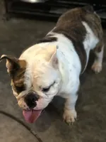 processed/79138303-c1d2-4793-9c0f-e8454888e079/facility/32dc44ba-9295-4379-95ef-b63976da0ad9