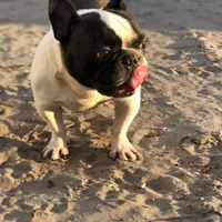 processed/79138303-c1d2-4793-9c0f-e8454888e079/facility/380d59e7-ed49-4799-8fb0-990682bd8ed5