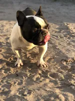 processed/79138303-c1d2-4793-9c0f-e8454888e079/facility/380d59e7-ed49-4799-8fb0-990682bd8ed5