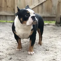 processed/79138303-c1d2-4793-9c0f-e8454888e079/facility/55e44b30-056e-442c-a9c2-d0335ee14d67