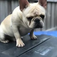 processed/79138303-c1d2-4793-9c0f-e8454888e079/facility/6081c6bb-ea71-4695-a439-d3f6ee8c8d18