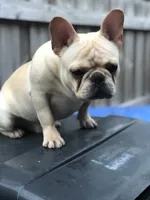 processed/79138303-c1d2-4793-9c0f-e8454888e079/facility/6081c6bb-ea71-4695-a439-d3f6ee8c8d18