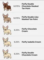 Fluffy Kloud , a female French Bulldog for sale in Spring Hill, FL – Photo 4 of 6