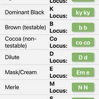 Kream Choko, a male French Bulldog for sale in Spring Hill, FL – Photo 6 of 9