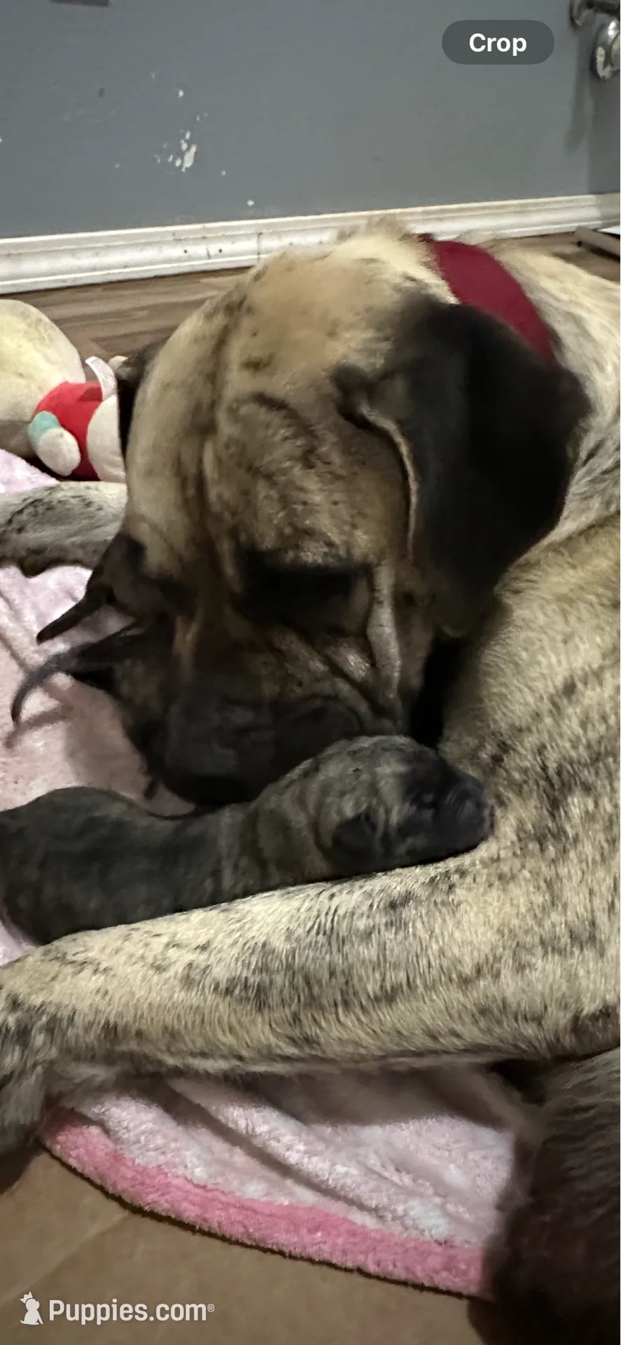 processed/791e4839-af3d-46ed-b06f-3a58cf9f3298/listing/54cbcc30-43b3-4a19-9d74-d37fa4923d16/6a9c2431-17d1-4343-a42c-12bf0db1a49d