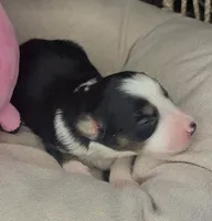 processed/7926d430-c44d-426d-8be2-2073acb8abe4/listing/572c7581-59f5-414f-a459-a033933696ba/6b251e24-0b3c-4855-a00c-8a70b6852b3d