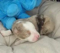 processed/7926d430-c44d-426d-8be2-2073acb8abe4/listing/5c53095b-9df9-41bd-96d7-29826894b582/28dcd4b9-6707-4d31-aff1-96f54173e13f