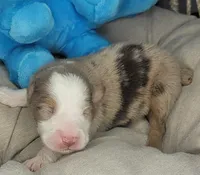 processed/7926d430-c44d-426d-8be2-2073acb8abe4/listing/5c53095b-9df9-41bd-96d7-29826894b582/36602c3c-b57c-4484-b44b-2d77c141ee4b