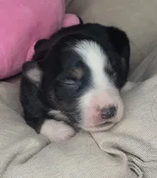 processed/7926d430-c44d-426d-8be2-2073acb8abe4/listing/9e14ac71-4475-4409-9c3d-e41ce15e5a5f/4b39e934-4ddd-45fe-9d4d-17237bc16e87