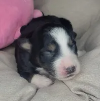 processed/7926d430-c44d-426d-8be2-2073acb8abe4/listing/9e14ac71-4475-4409-9c3d-e41ce15e5a5f/d363c4b1-08b6-4af7-87d3-0d6d139e9bf6