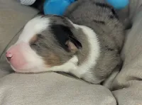 processed/7926d430-c44d-426d-8be2-2073acb8abe4/listing/b8fbedd3-7c53-406c-ba2c-9c15b1005823/e6e76dc6-07ab-42fe-9e9a-3c4e1584eab7