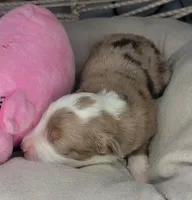 processed/7926d430-c44d-426d-8be2-2073acb8abe4/listing/f5be50ad-1eb1-4307-ad07-ae8b9805ba57/58ab96ed-1957-4376-aa68-f28f0bbff975