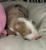 processed/7926d430-c44d-426d-8be2-2073acb8abe4/listing/f5be50ad-1eb1-4307-ad07-ae8b9805ba57/91ab9ed7-6f03-4281-a01e-4dd5caa79a42