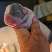 processed/7932de96-b7e8-4c6f-9f8f-c5f98ee97f3c/facility/1df4bc79-d03d-4823-8873-f953128e9e32