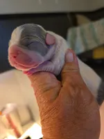 processed/7932de96-b7e8-4c6f-9f8f-c5f98ee97f3c/facility/1df4bc79-d03d-4823-8873-f953128e9e32