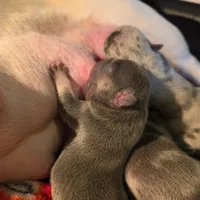 processed/7932de96-b7e8-4c6f-9f8f-c5f98ee97f3c/facility/71f8728c-4e72-44e4-ab11-b46e9a0beae2