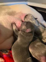 processed/7932de96-b7e8-4c6f-9f8f-c5f98ee97f3c/facility/71f8728c-4e72-44e4-ab11-b46e9a0beae2