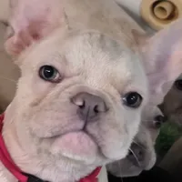 processed/7932de96-b7e8-4c6f-9f8f-c5f98ee97f3c/facility/90dc1aaa-fae2-4b15-80c7-6dde0e1b59e2