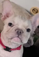 processed/7932de96-b7e8-4c6f-9f8f-c5f98ee97f3c/facility/90dc1aaa-fae2-4b15-80c7-6dde0e1b59e2