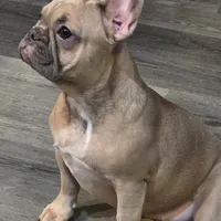 processed/7932de96-b7e8-4c6f-9f8f-c5f98ee97f3c/facility/a7846ef0-5bb2-4755-b0c0-4aa6bb887968