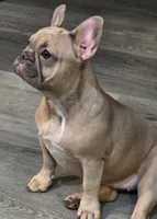 processed/7932de96-b7e8-4c6f-9f8f-c5f98ee97f3c/facility/a7846ef0-5bb2-4755-b0c0-4aa6bb887968