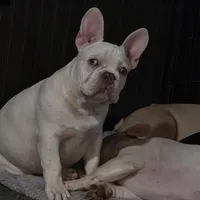 processed/7932de96-b7e8-4c6f-9f8f-c5f98ee97f3c/facility/bdf962d1-3576-483b-84e1-4cdb56fd7fcf