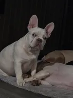 processed/7932de96-b7e8-4c6f-9f8f-c5f98ee97f3c/facility/bdf962d1-3576-483b-84e1-4cdb56fd7fcf