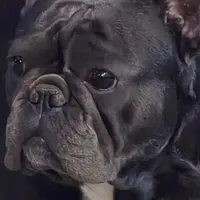 processed/7932de96-b7e8-4c6f-9f8f-c5f98ee97f3c/facility/c0a068f7-067d-490b-9a0d-89dc6e21a5be