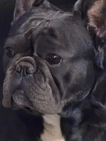 processed/7932de96-b7e8-4c6f-9f8f-c5f98ee97f3c/facility/c0a068f7-067d-490b-9a0d-89dc6e21a5be