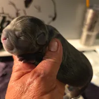 processed/7932de96-b7e8-4c6f-9f8f-c5f98ee97f3c/facility/e10414c9-ff8e-4a95-91ba-c6e74153e34d