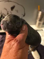 processed/7932de96-b7e8-4c6f-9f8f-c5f98ee97f3c/facility/e10414c9-ff8e-4a95-91ba-c6e74153e34d