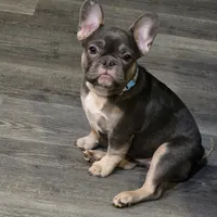 processed/7932de96-b7e8-4c6f-9f8f-c5f98ee97f3c/facility/f25b69a6-5dce-4c95-a6db-a0e5c9f9174c