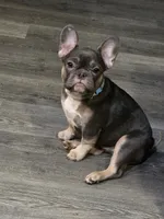 processed/7932de96-b7e8-4c6f-9f8f-c5f98ee97f3c/facility/f25b69a6-5dce-4c95-a6db-a0e5c9f9174c