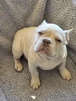 processed/7932de96-b7e8-4c6f-9f8f-c5f98ee97f3c/listing/d12454b9-2d35-43b4-910c-181a850848f3/5ba08f8f-4f7f-40ff-998d-569ae17768d8