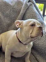 processed/7932de96-b7e8-4c6f-9f8f-c5f98ee97f3c/listing/d12454b9-2d35-43b4-910c-181a850848f3/ceb3f141-444f-4e21-8780-35430ca5c60f