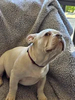 processed/7932de96-b7e8-4c6f-9f8f-c5f98ee97f3c/listing/d12454b9-2d35-43b4-910c-181a850848f3/d530de10-55cc-43e9-a269-0dc7e0e3c3c5