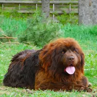 processed/793dd543-f316-42a8-8d9c-38cf6f2394da/facility/087d417f-6b56-46e5-8248-480e082943bc