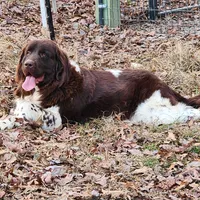 processed/793dd543-f316-42a8-8d9c-38cf6f2394da/facility/3cf46ee7-ef6e-4f55-a386-2e5d0c1d60a4