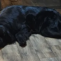 processed/793dd543-f316-42a8-8d9c-38cf6f2394da/facility/514073b7-f6b9-498c-93a3-8c4fa1a846af