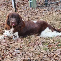 processed/793dd543-f316-42a8-8d9c-38cf6f2394da/facility/b974b439-dc7c-4998-afbf-24e84142da95