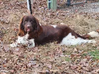 processed/793dd543-f316-42a8-8d9c-38cf6f2394da/facility/b974b439-dc7c-4998-afbf-24e84142da95